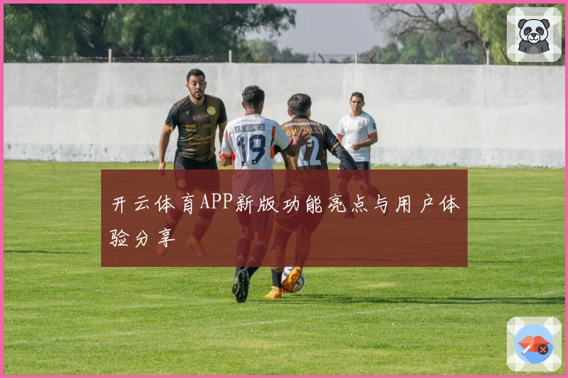 开云体育APP新版功能亮点与用户体验分享