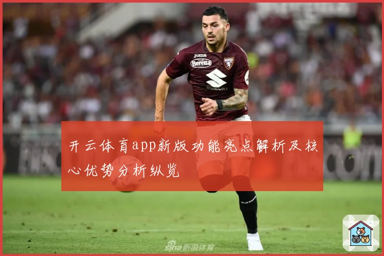 开云体育app新版功能亮点解析及核心优势分析纵览